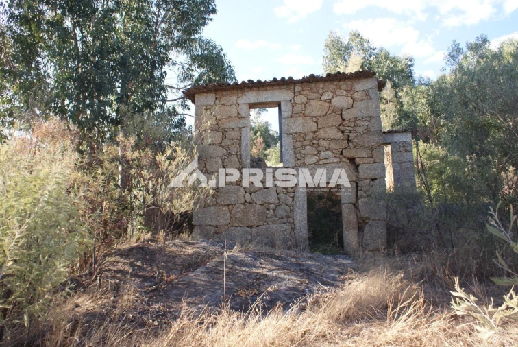 Terreno para Venda em Pero Viseu Foto 16