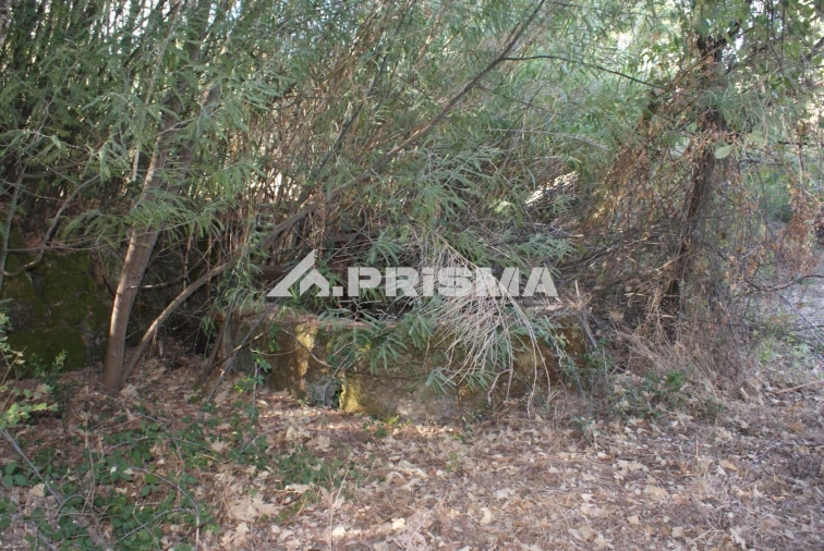 Terreno para Venda em Pero Viseu Foto 5