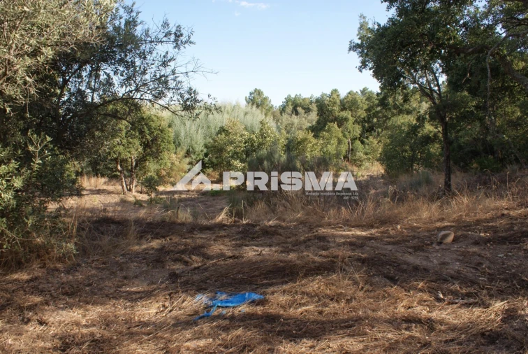 Terreno para Venda em Pero Viseu Foto 36