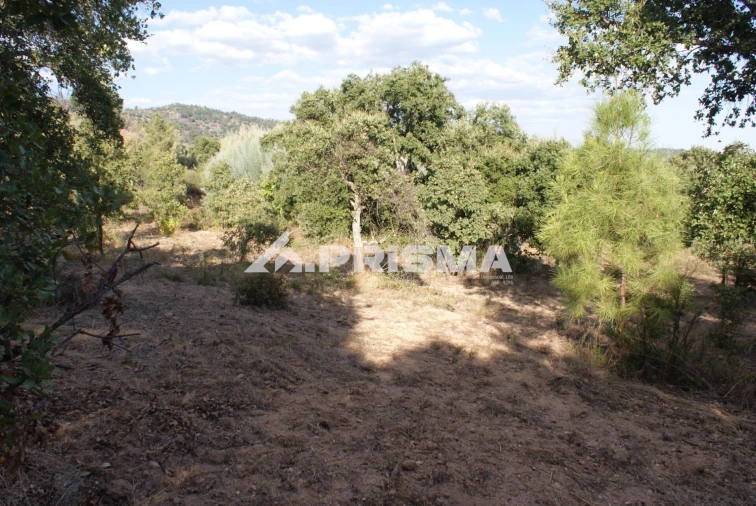 Terreno para Venda em Pero Viseu Foto 40