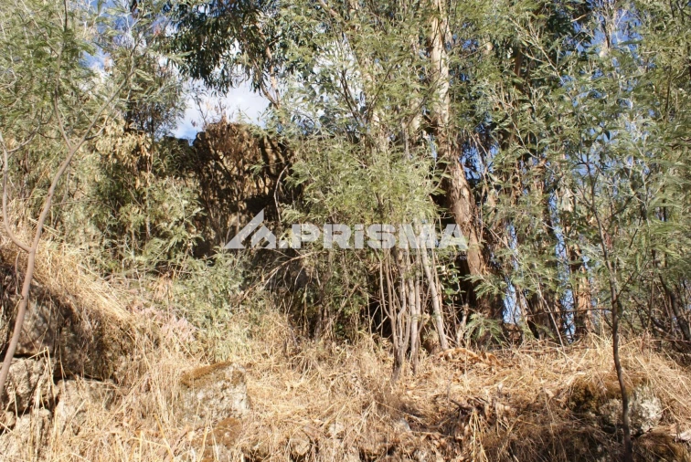 Terreno para Venda em Pero Viseu Foto 28