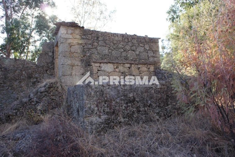 Terreno para Venda em Pero Viseu Foto 21