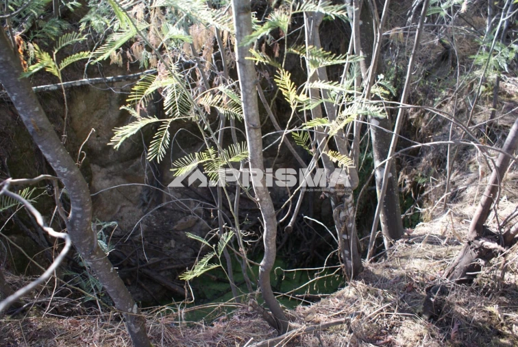 Terreno para Venda em Pero Viseu Foto 25