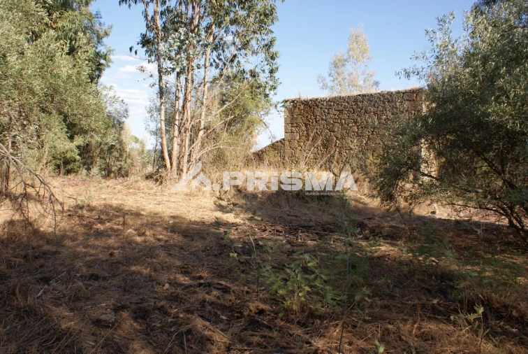 Terreno para Venda em Pero Viseu Foto 24