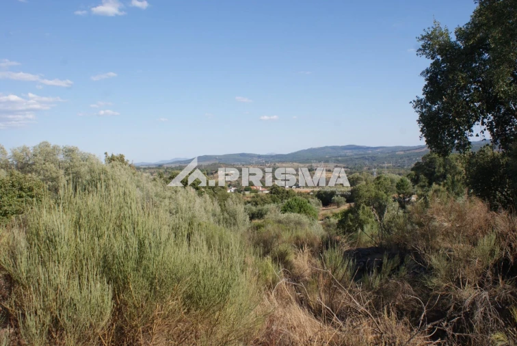 Terreno para Venda em Pero Viseu Foto 1