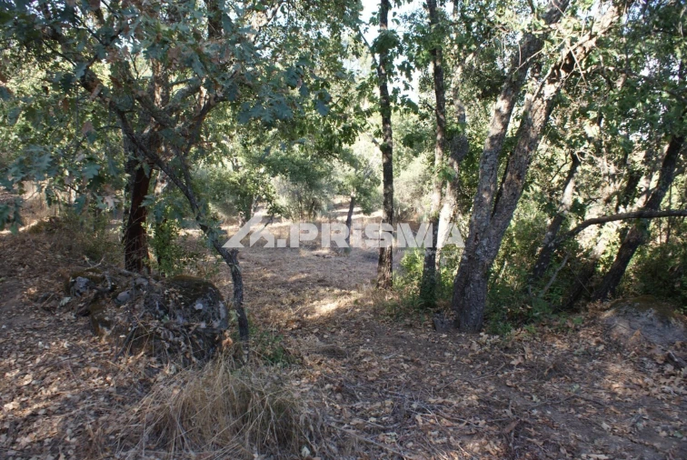 Terreno para Venda em Pero Viseu Foto 39