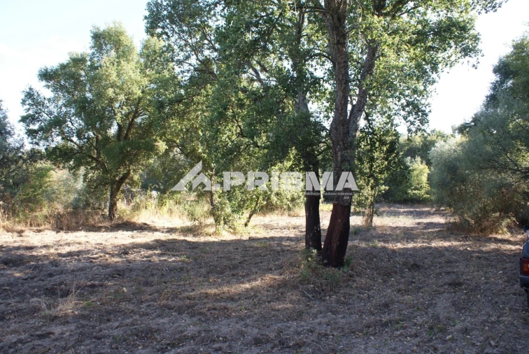Terreno para Venda em Pero Viseu Foto 10