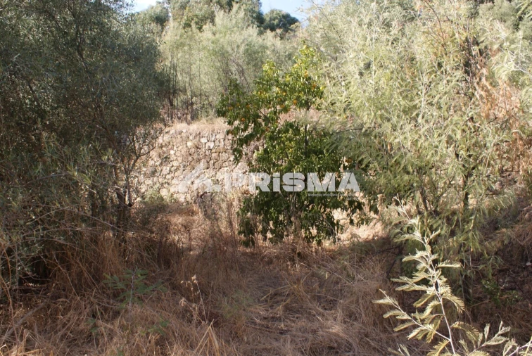 Terreno para Venda em Pero Viseu Foto 30