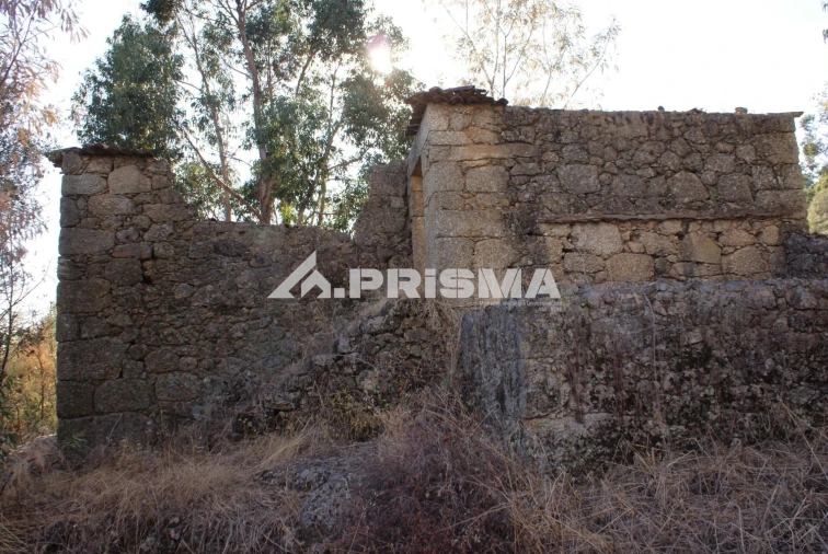 Terreno para Venda em Pero Viseu Foto 20