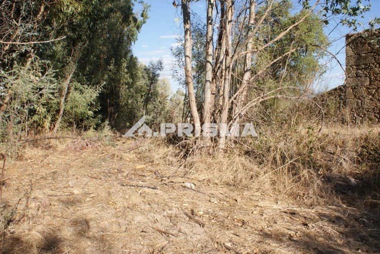 Terreno para Venda em Pero Viseu Foto 23