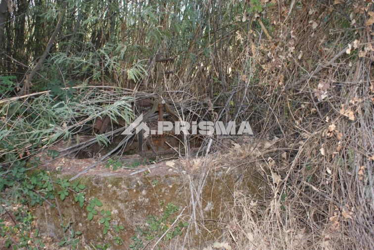 Terreno para Venda em Pero Viseu Foto 4