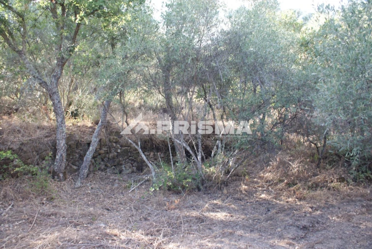 Terreno para Venda em Pero Viseu Foto 33