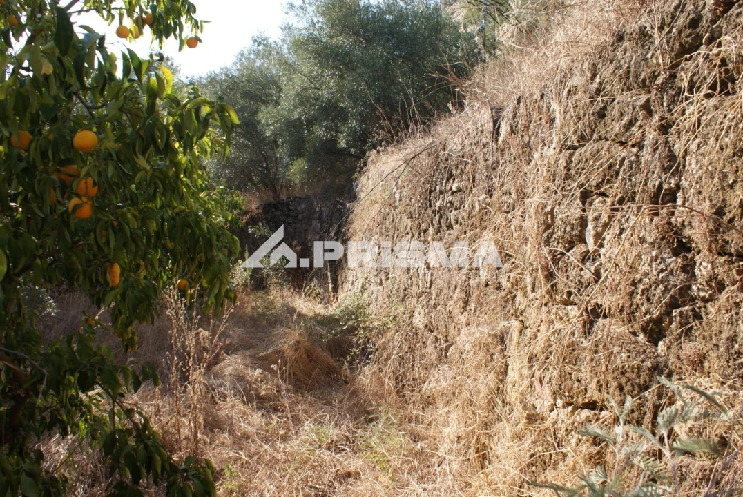 Terreno para Venda em Pero Viseu Foto 27