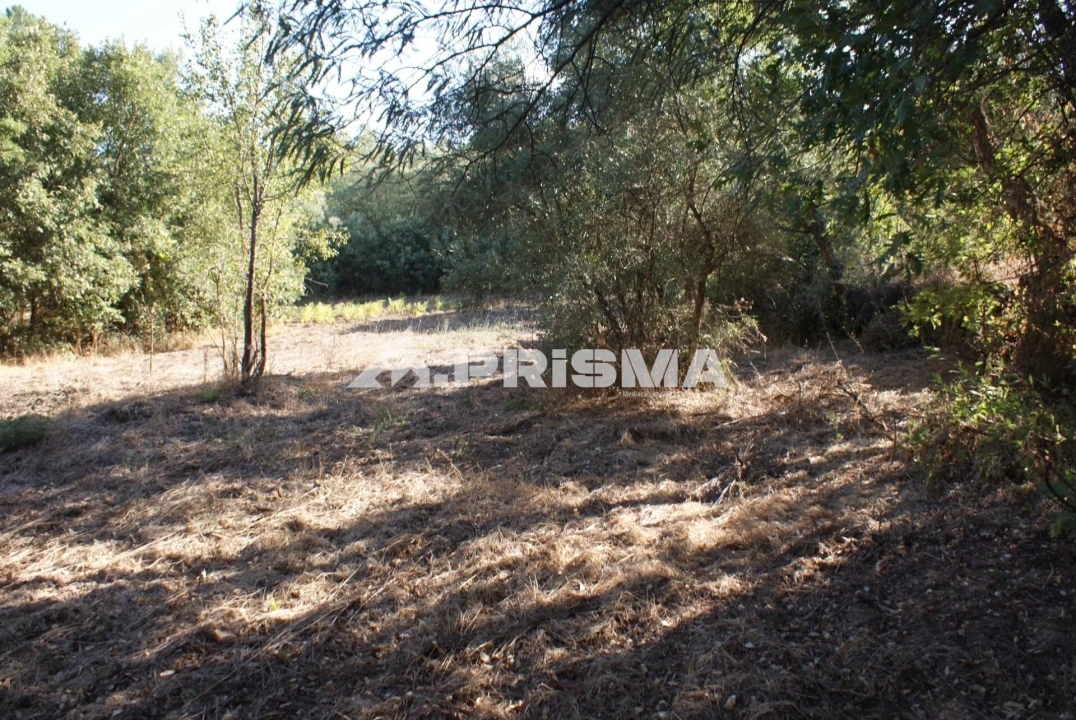 Terreno para Venda em Pero Viseu Foto 7