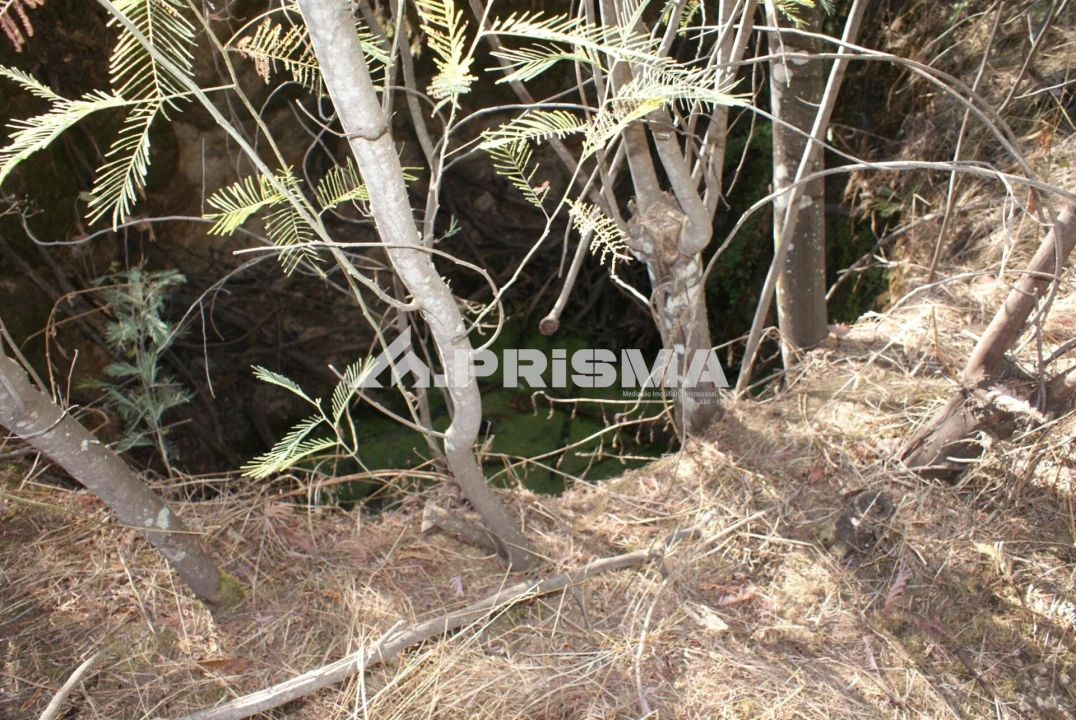 Terreno para Venda em Pero Viseu Foto 26