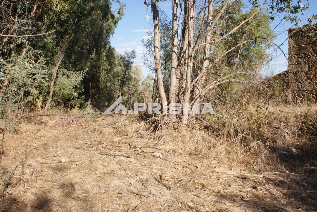 Terreno para Venda em Pero Viseu Foto 23