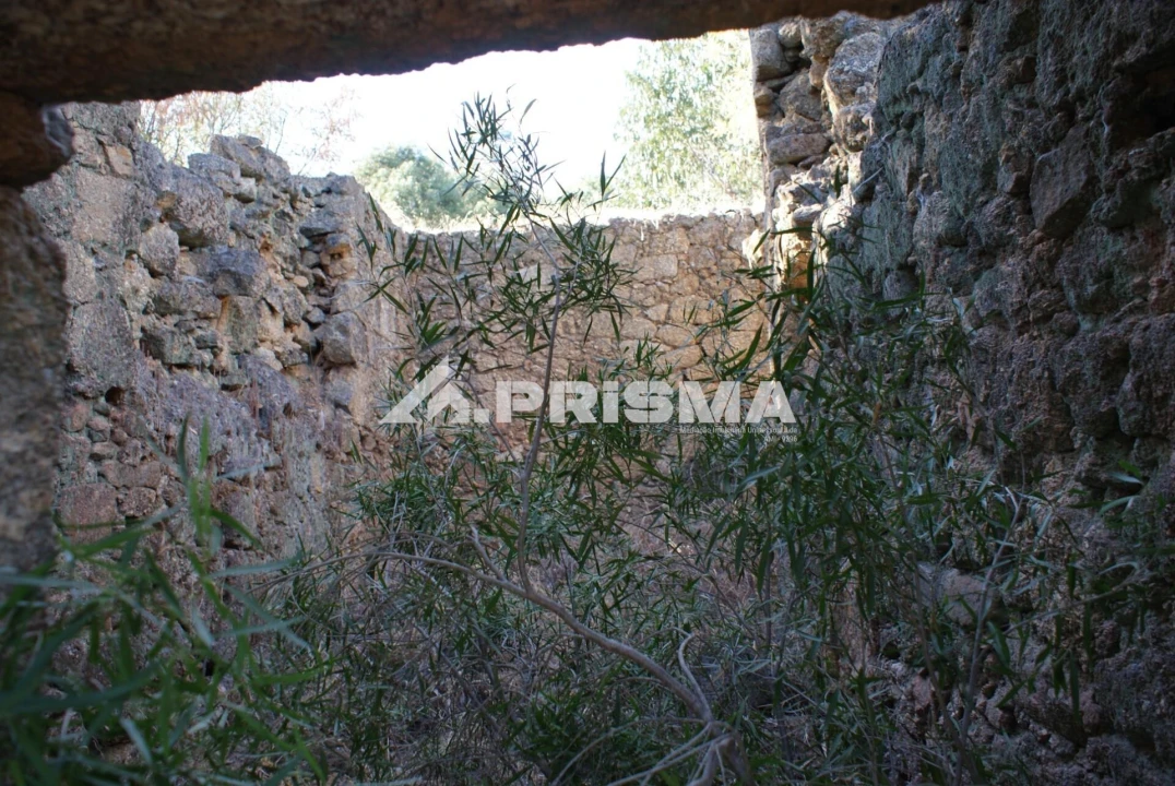 Terreno para Venda em Pero Viseu Foto 17