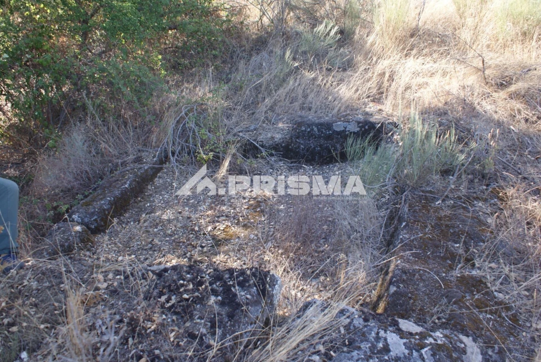 Terreno para Venda em Pero Viseu Foto 15