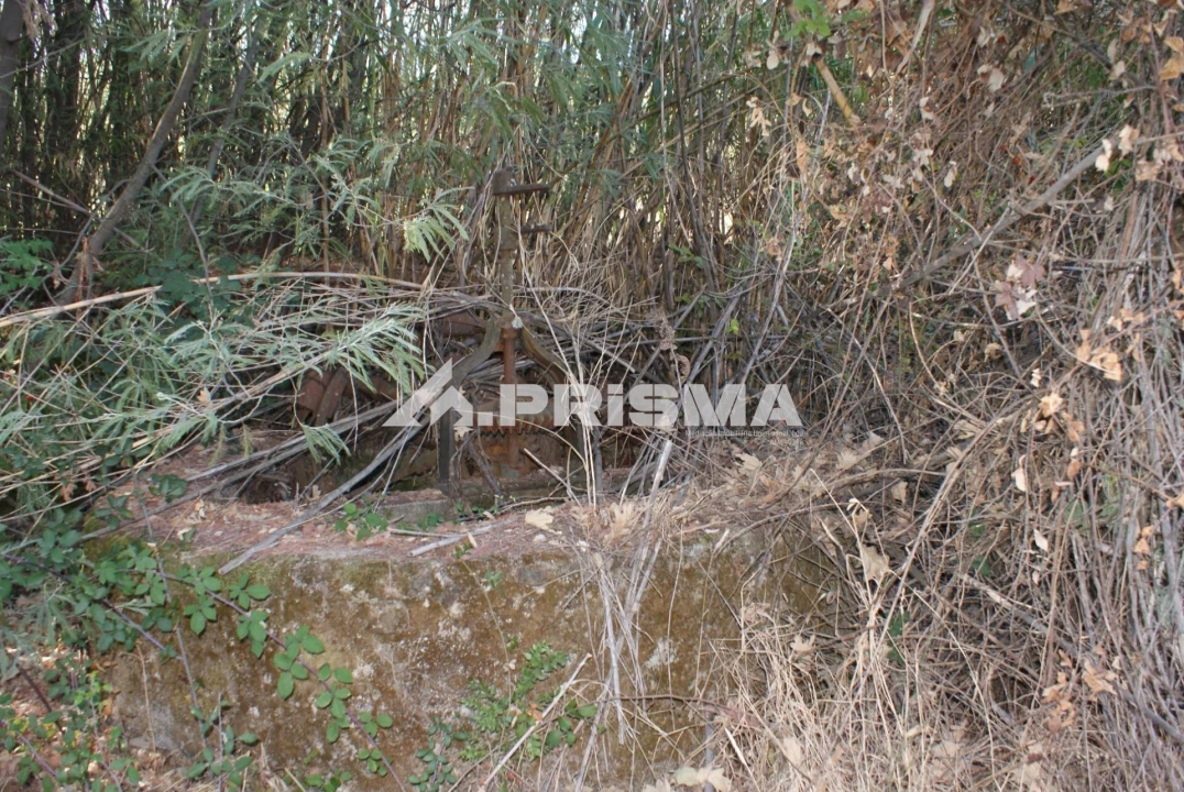 Terreno para Venda em Pero Viseu Foto 4