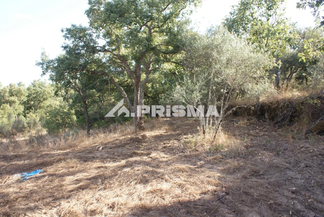 Terreno para Venda em Pero Viseu Foto 35