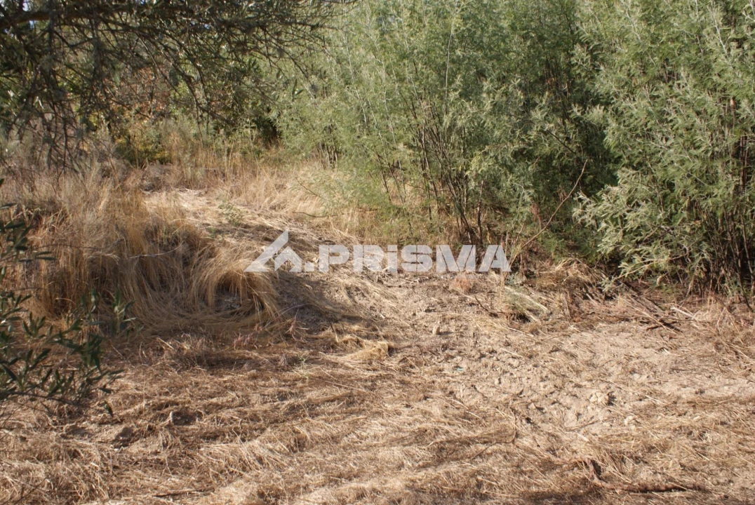Terreno para Venda em Pero Viseu Foto 43