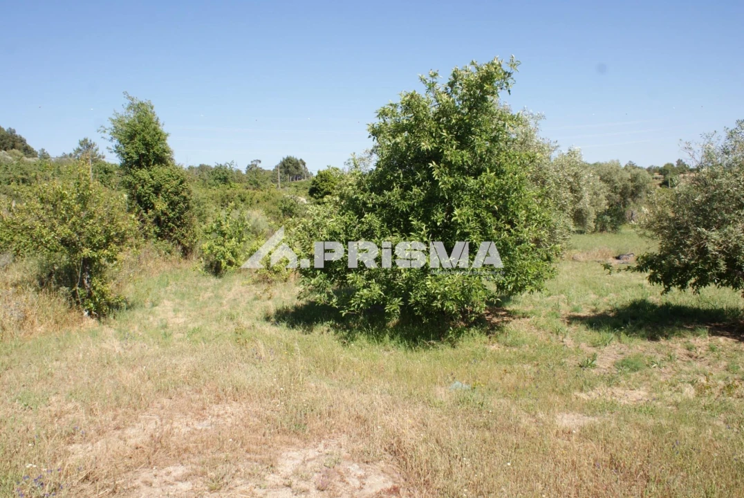 Terreno para Venda em Pero Viseu Foto 12
