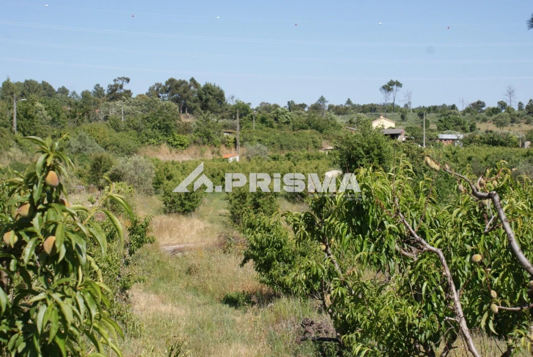 Terreno para Venda em Pero Viseu Foto 22