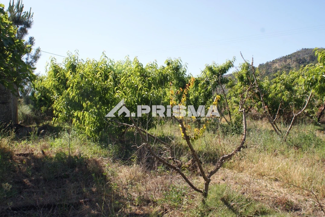 Terreno para Venda em Pero Viseu Foto 8