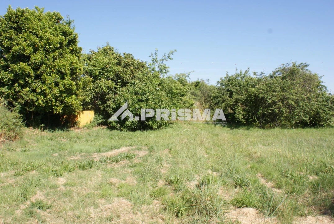 Terreno para Venda em Pero Viseu Foto 14