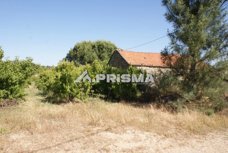 Terreno para Venda em Pero Viseu Foto 23