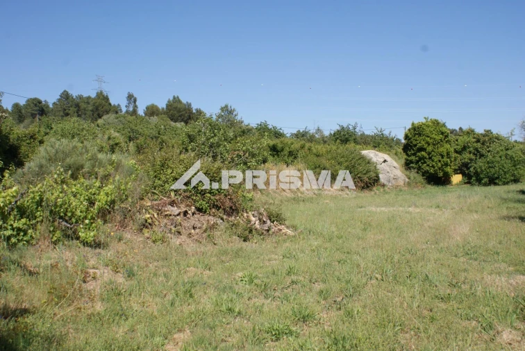 Terreno para Venda em Pero Viseu Foto 19