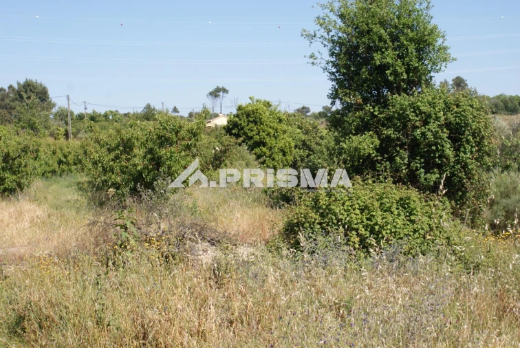 Terreno para Venda em Pero Viseu Foto 21