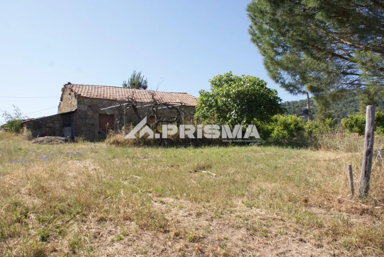 Terreno para Venda em Pero Viseu Foto 11