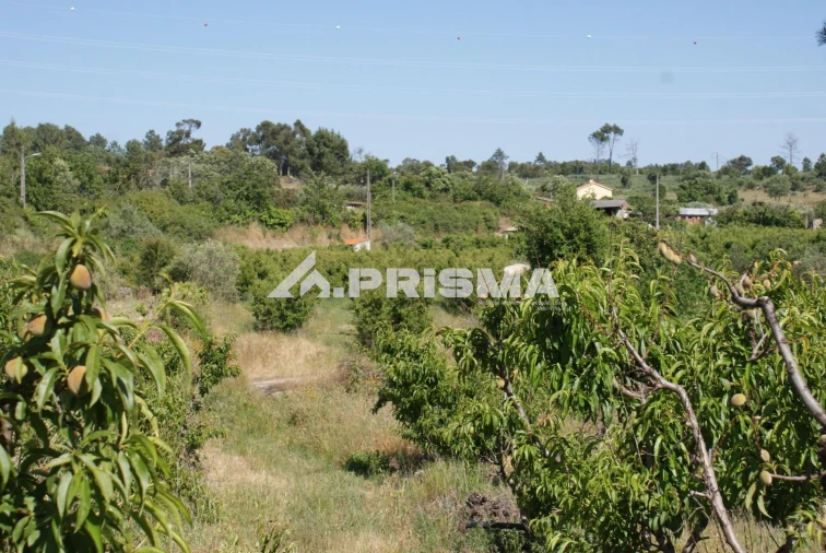 Terreno para Venda em Pero Viseu Foto 22