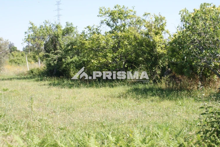 Terreno para Venda em Pero Viseu Foto 17