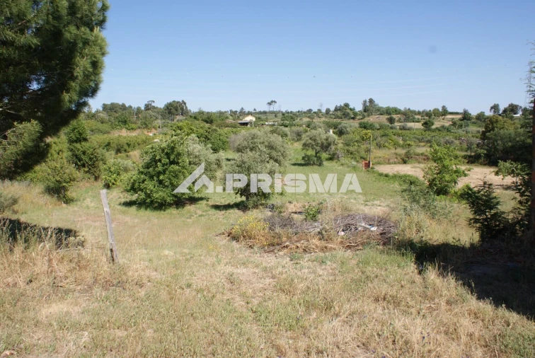 Terreno para Venda em Pero Viseu Foto 3