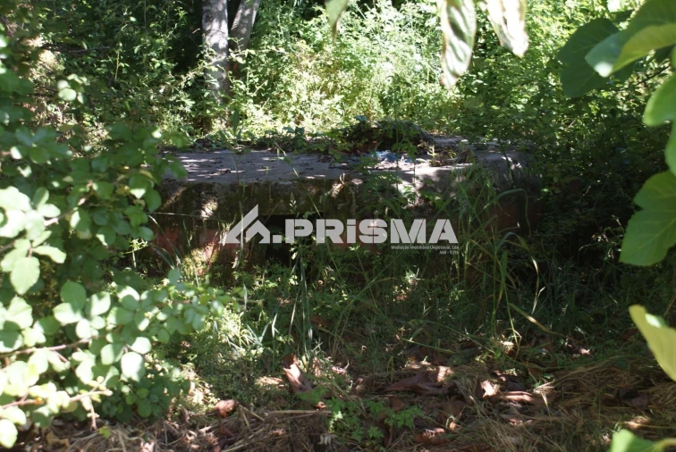 Terreno para Venda em Pero Viseu Foto 15
