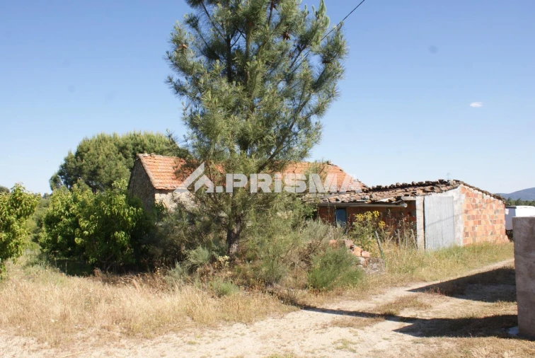 Terreno para Venda em Pero Viseu Foto 25