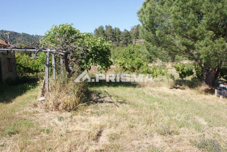 Terreno para Venda em Pero Viseu Foto 5