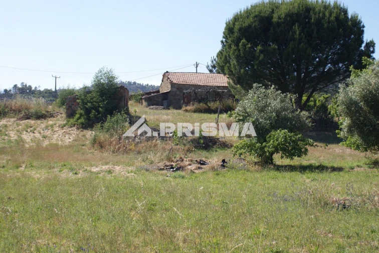 Terreno para Venda em Pero Viseu Foto 1