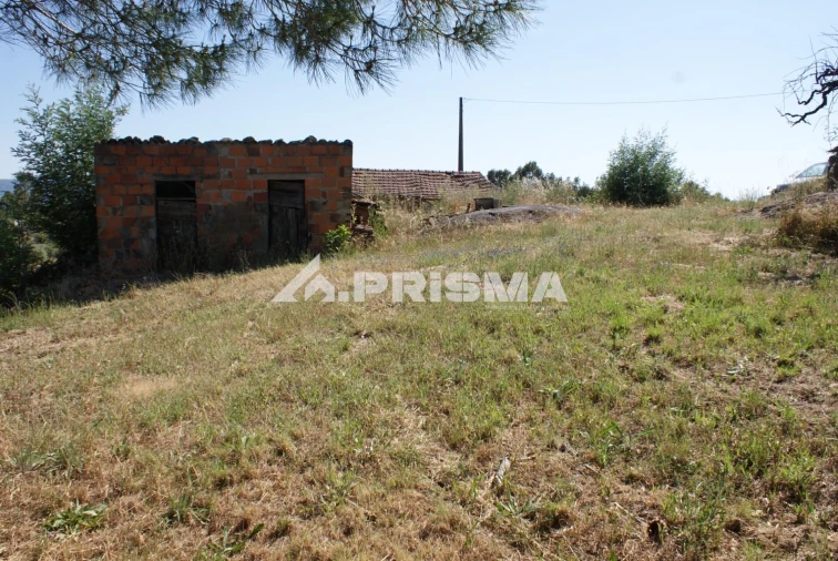 Terreno para Venda em Pero Viseu Foto 10