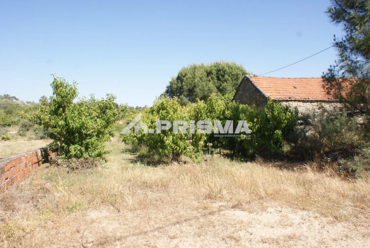 Terreno para Venda em Pero Viseu Foto 24