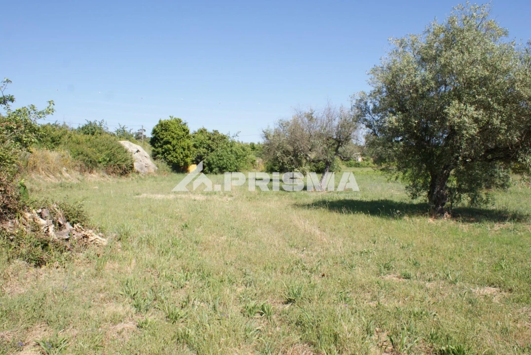 Terreno para Venda em Pero Viseu Foto 2