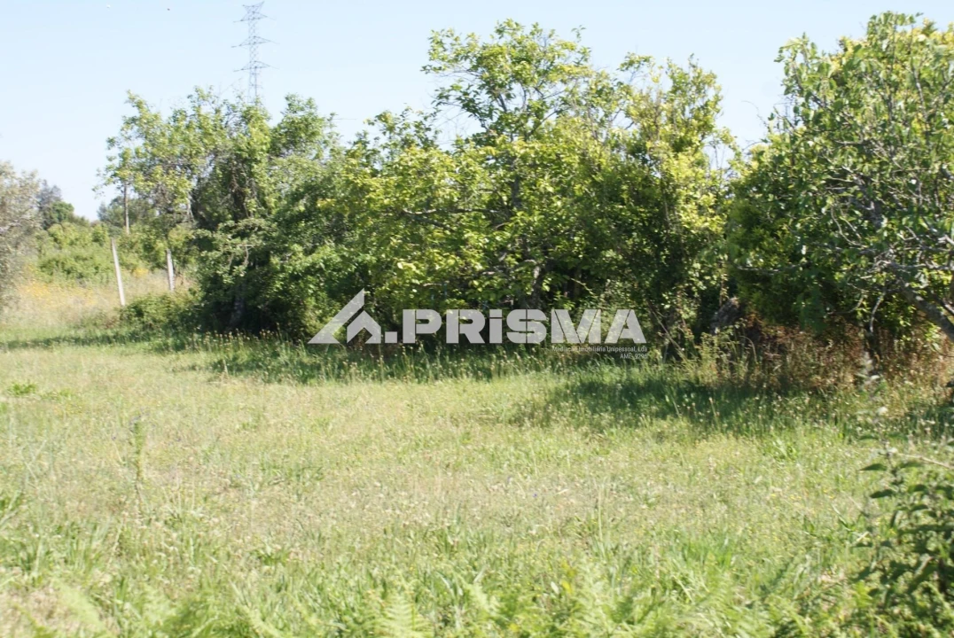 Terreno para Venda em Pero Viseu Foto 17