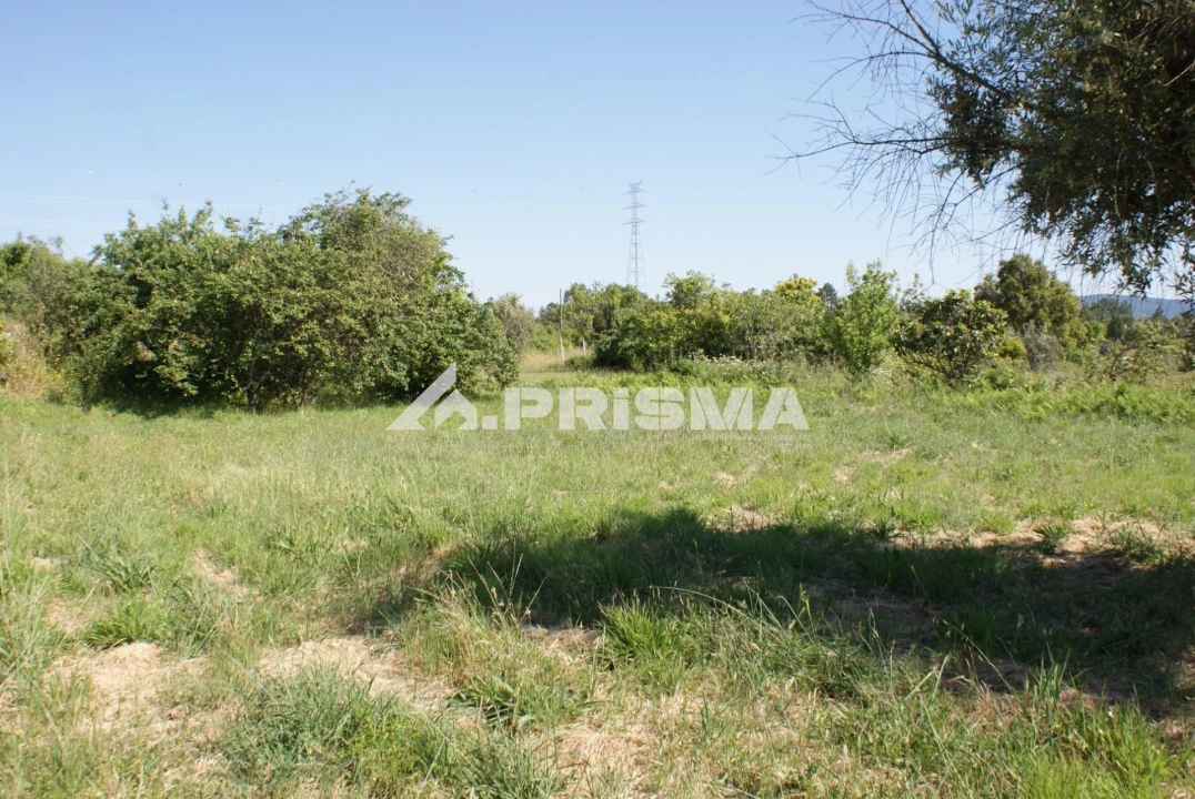Terreno para Venda em Pero Viseu Foto 13