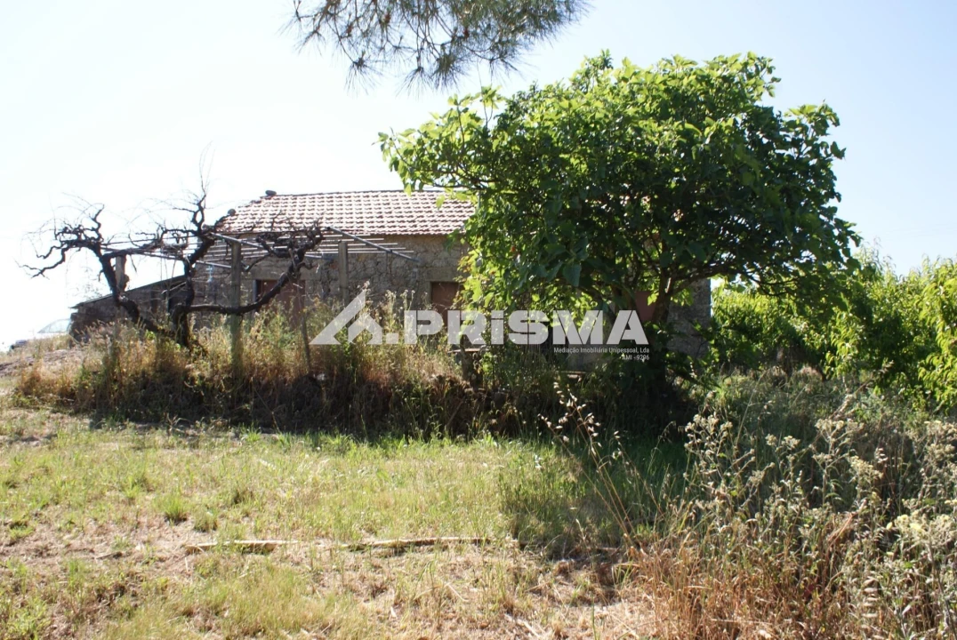 Terreno para Venda em Pero Viseu Foto 9