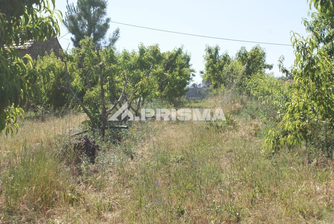 Terreno para Venda em Pero Viseu Foto 20