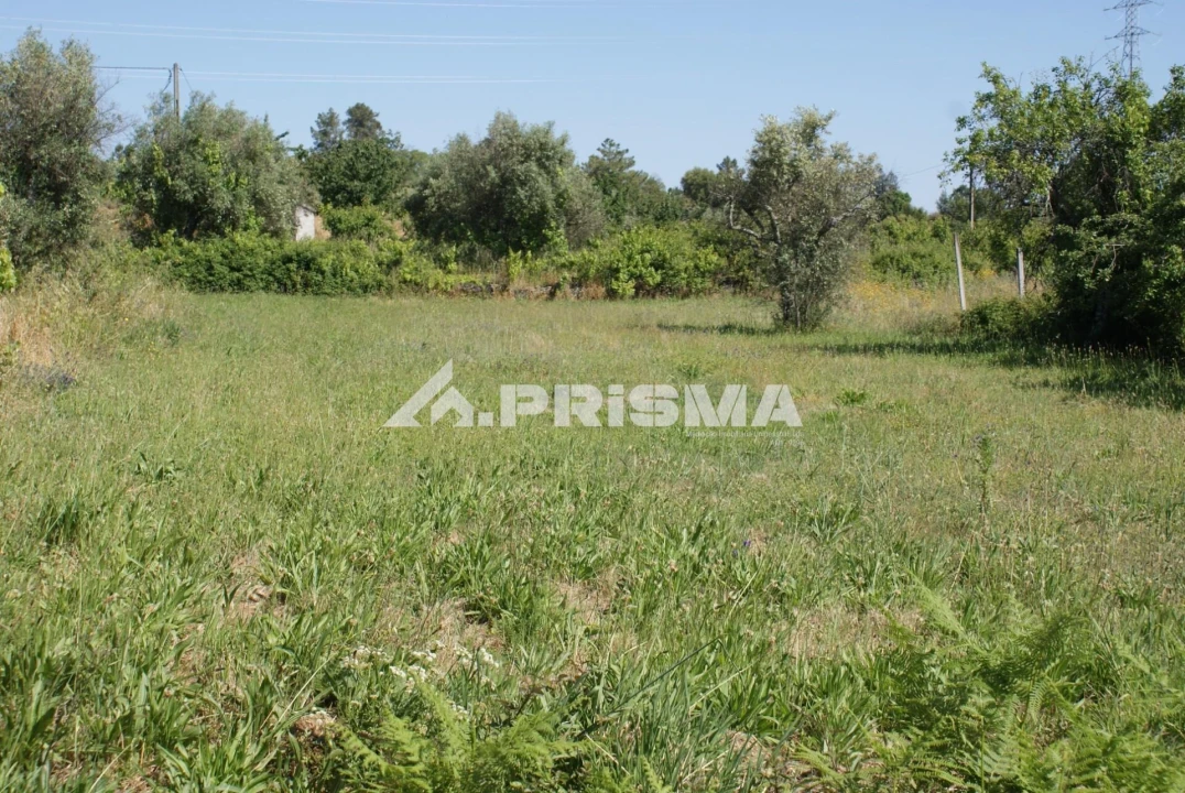 Terreno para Venda em Pero Viseu Foto 16