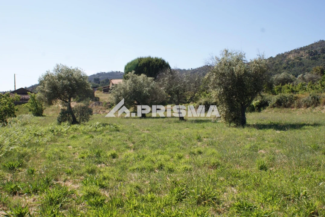 Terreno para Venda em Pero Viseu Foto 18
