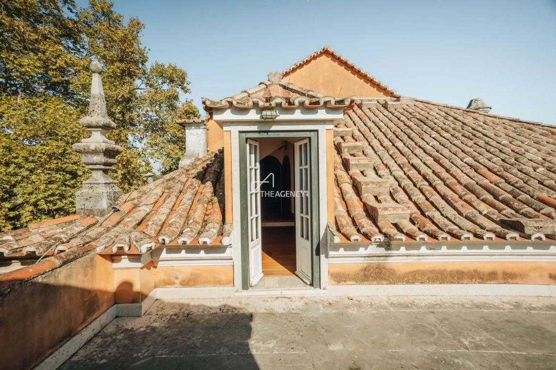 Quinta T7 para Venda em Lumiar Foto 38